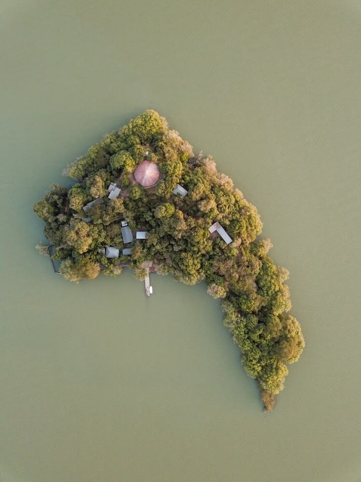 Lake Tana 1
