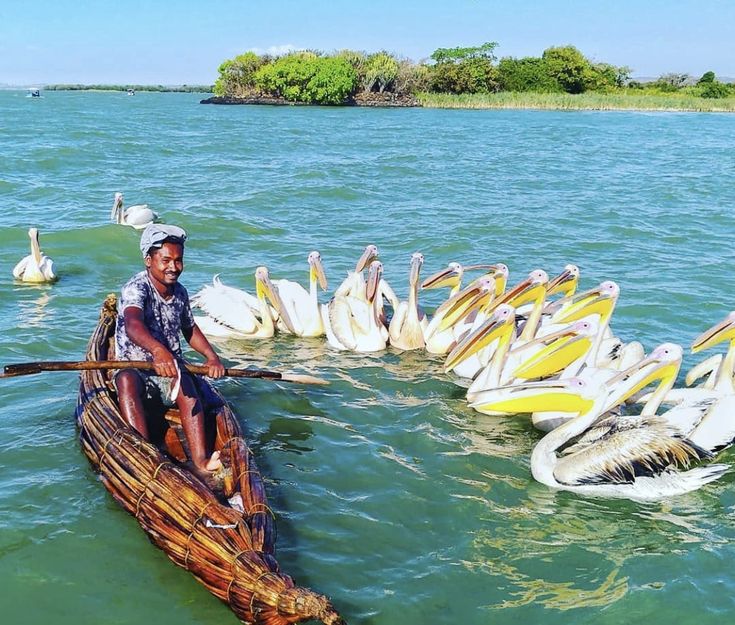 Lake Tana Tour